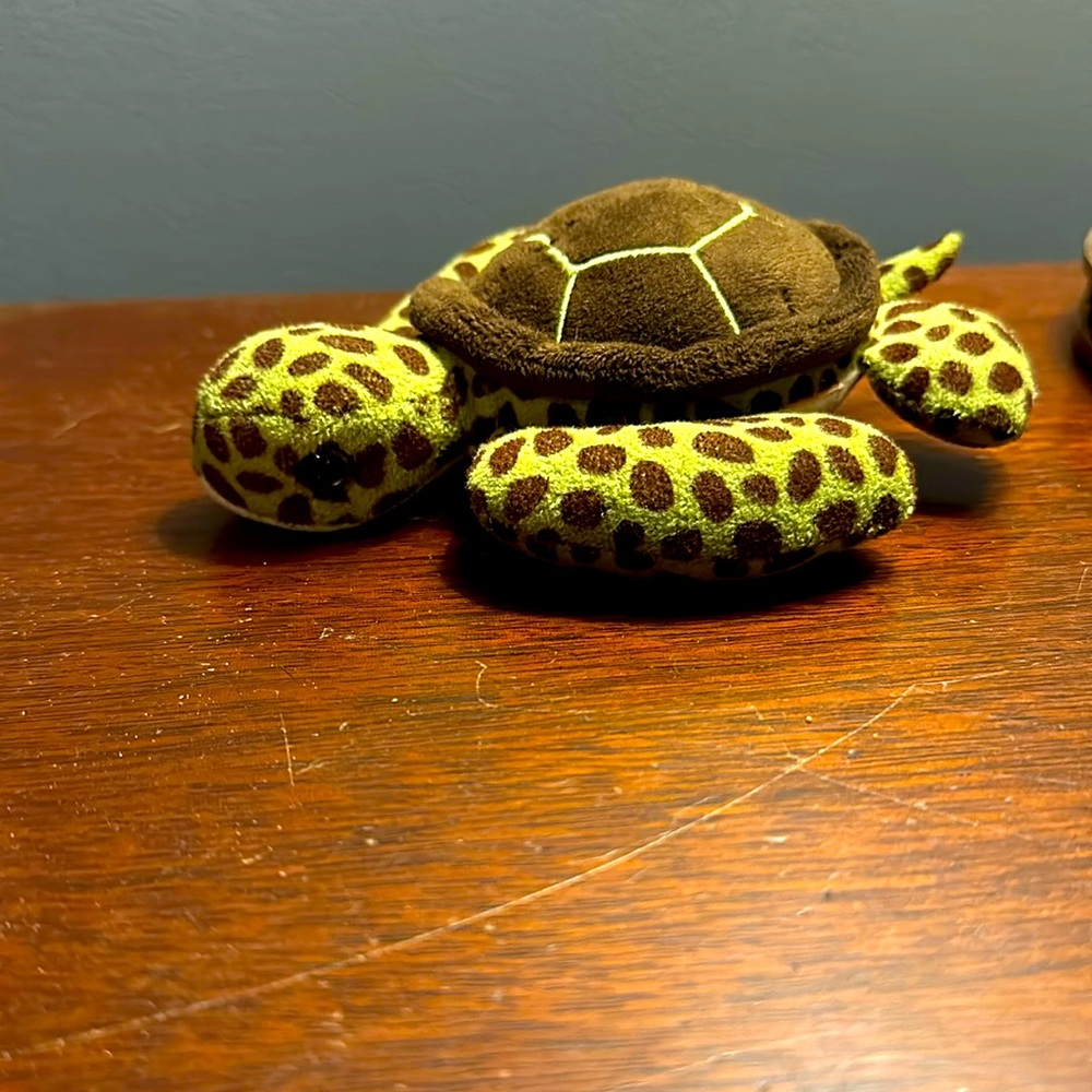 Sea turtle stuffed animal